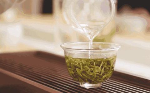 杯盏里的春天：和绿茶的那些事儿