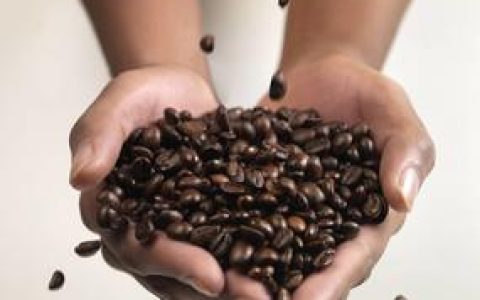 咖啡豆里的光阴故事