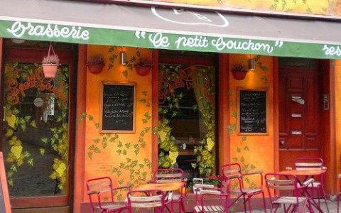 金毛——暖男宝宝一枚