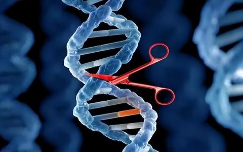 基因剪刀的奇妙旅程：CRISPR 的科学诗篇