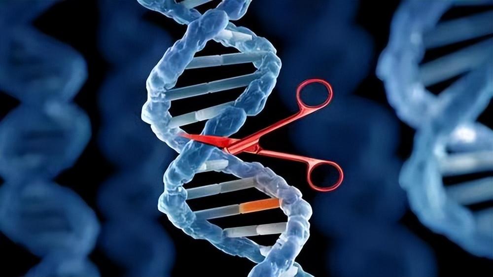 基因剪刀的奇妙旅程：CRISPR 的科学诗篇