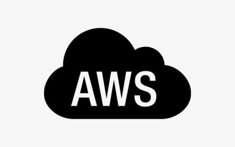 AWS：从云端萌芽到数字生态的构建者