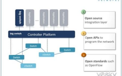 打破桎梏的网络革新者：软件定义网络的崛起与未来
