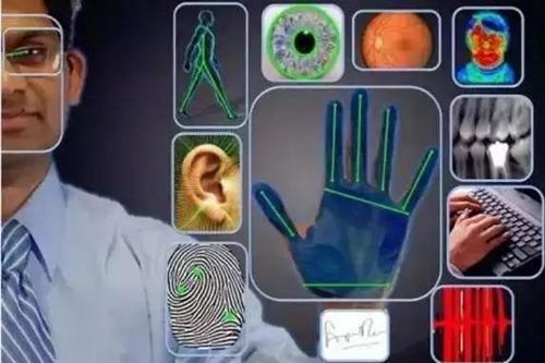 指尖上的密码：生物识别技术编织的无形网络