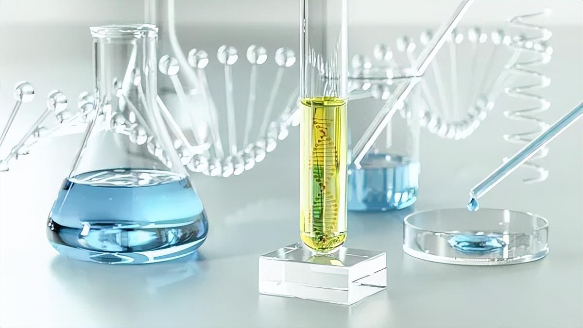 生命的诗行：在合成生物学的花园里播种星辰