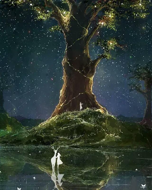 星河入梦时，资本正灌溉科技的土壤