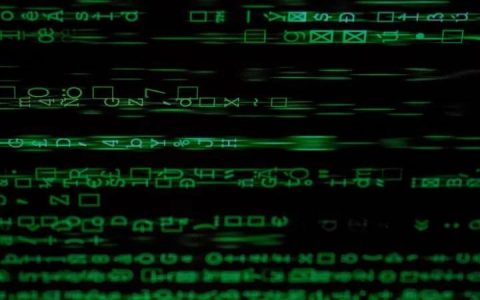 网络安全的 “模拟攻防”：揭秘渗透测试的深层价值