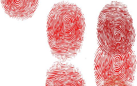 指纹：皮肤上的星河密码