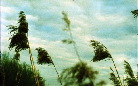 风的絮语，流动的诗