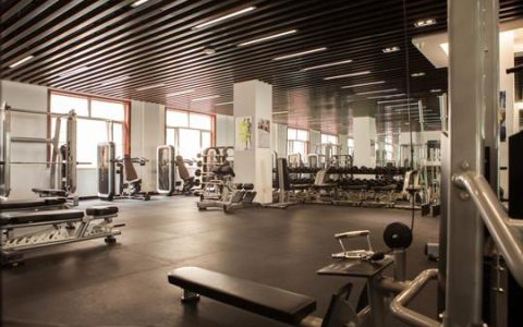 汗水里的时光：那些藏在健身房与晨跑路上的故事