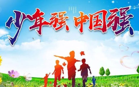 原来这才是素质教育！比考试分数有意思多了