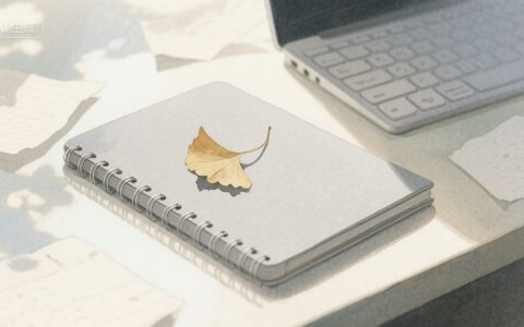 屏幕里的时光，指尖下的暖