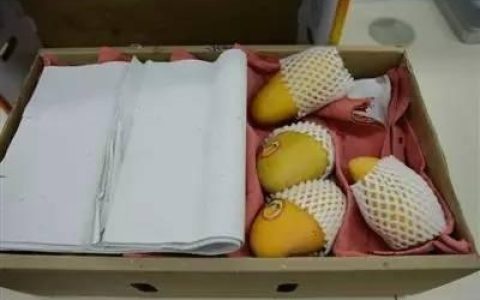 一箱芒果背后的供应链革命：从滞销危机到 48 小时鲜达的蜕变