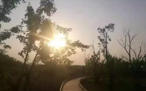 绿意栖居：藏在时光褶皱里的节能密码