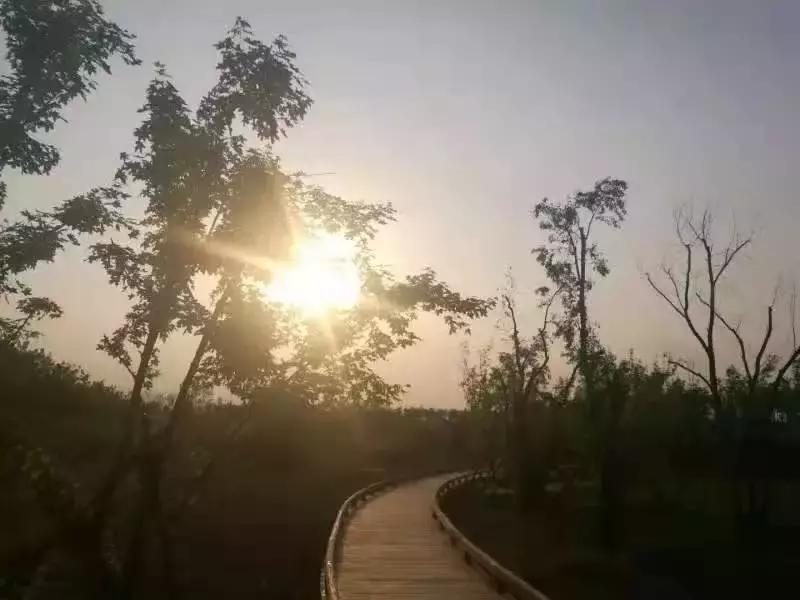 绿意栖居：藏在时光褶皱里的节能密码