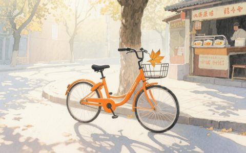 车轮上的温柔絮语：共享出行里的人间百态