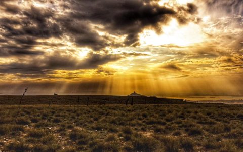 大地的呼吸：当每片绿叶都为碳中和轻声歌唱