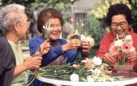 守护岁月温情：解锁养老生活的幸福密码