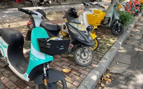 共享出行：当代人出门的 “快乐盲盒”