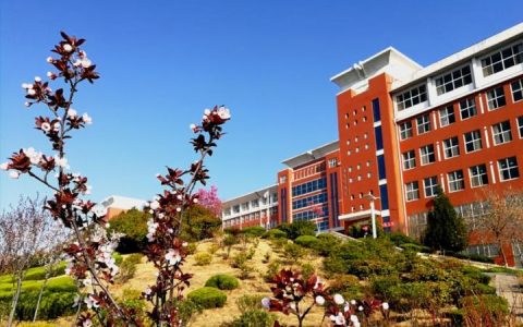 职业教育里生长的诗意与远方