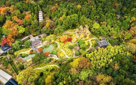 从滞销到畅销：一颗柑橘背后的供应链优化之路