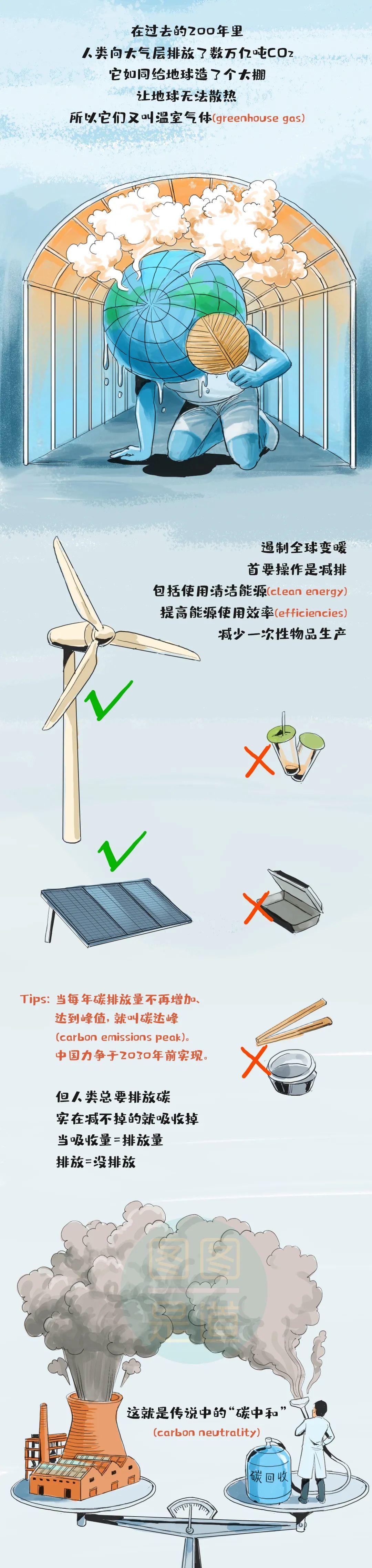 藏在日常里的碳中和：从一片树叶到整个地球的平衡