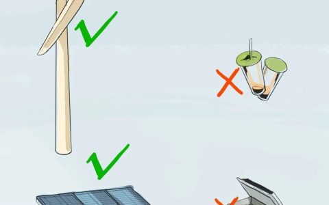 藏在日常里的碳中和：从一片树叶到整个地球的平衡