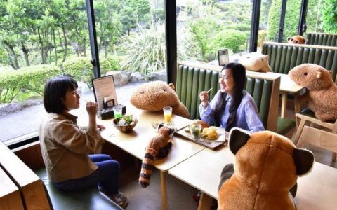 社交：编织生活温度的无形丝线