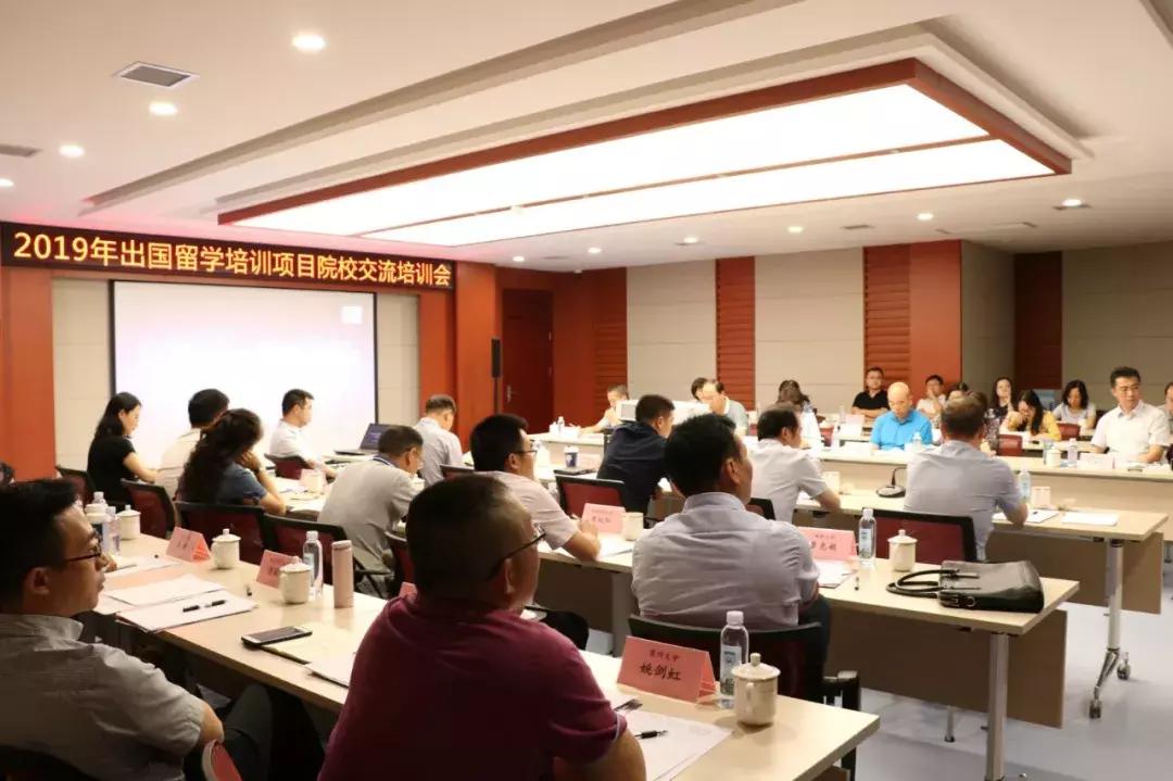 逐光而行：留学培训里的星辰与远方