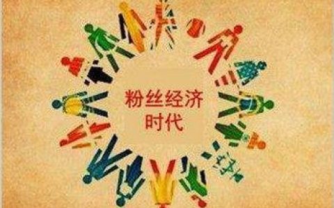 粉丝经济：一场围绕热爱的价值共振