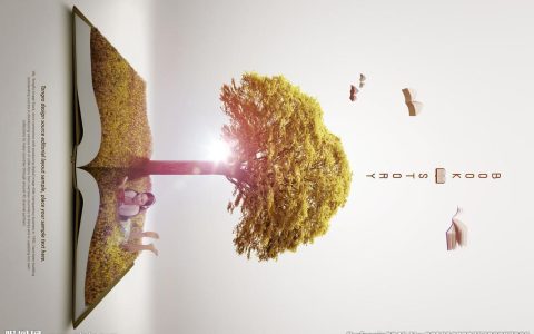 教育：照亮人生与社会的永恒之光