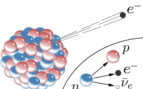 微观世界的隐秘舞者：弱相互作用的奇妙诗篇