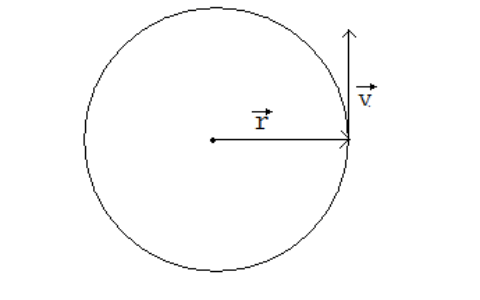 圆周运动：藏在日常里的奇妙轨迹