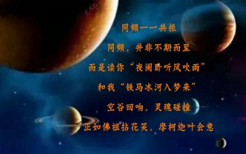 共振：自然界中无形的和谐共鸣