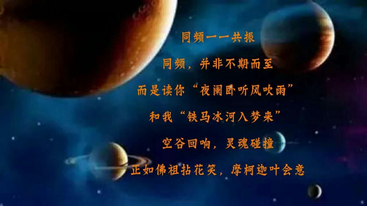 共振：自然界中无形的和谐共鸣