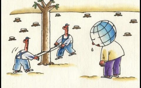 身边的 “地球补丁”：原来生态修复可以这么有意思