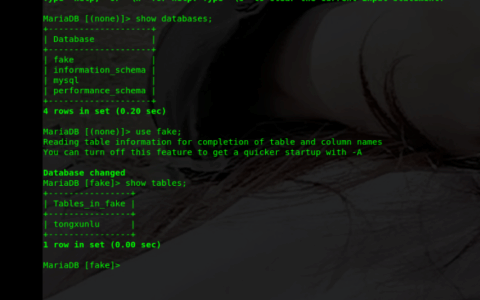 MySQL：开源数据库领域的实用派先锋