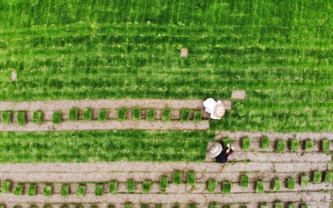 守护大地肌肤：土壤污染修复的实践与探索
