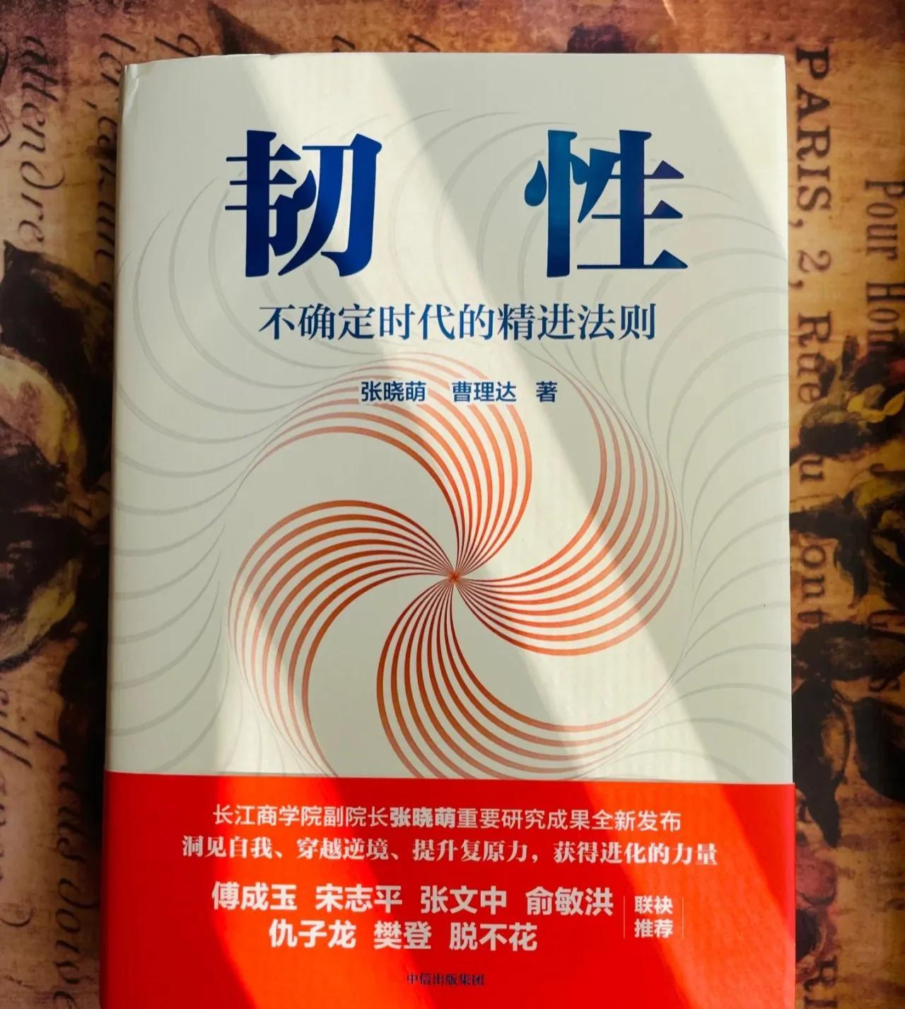 韧性：藏在生活褶皱里的力量密码