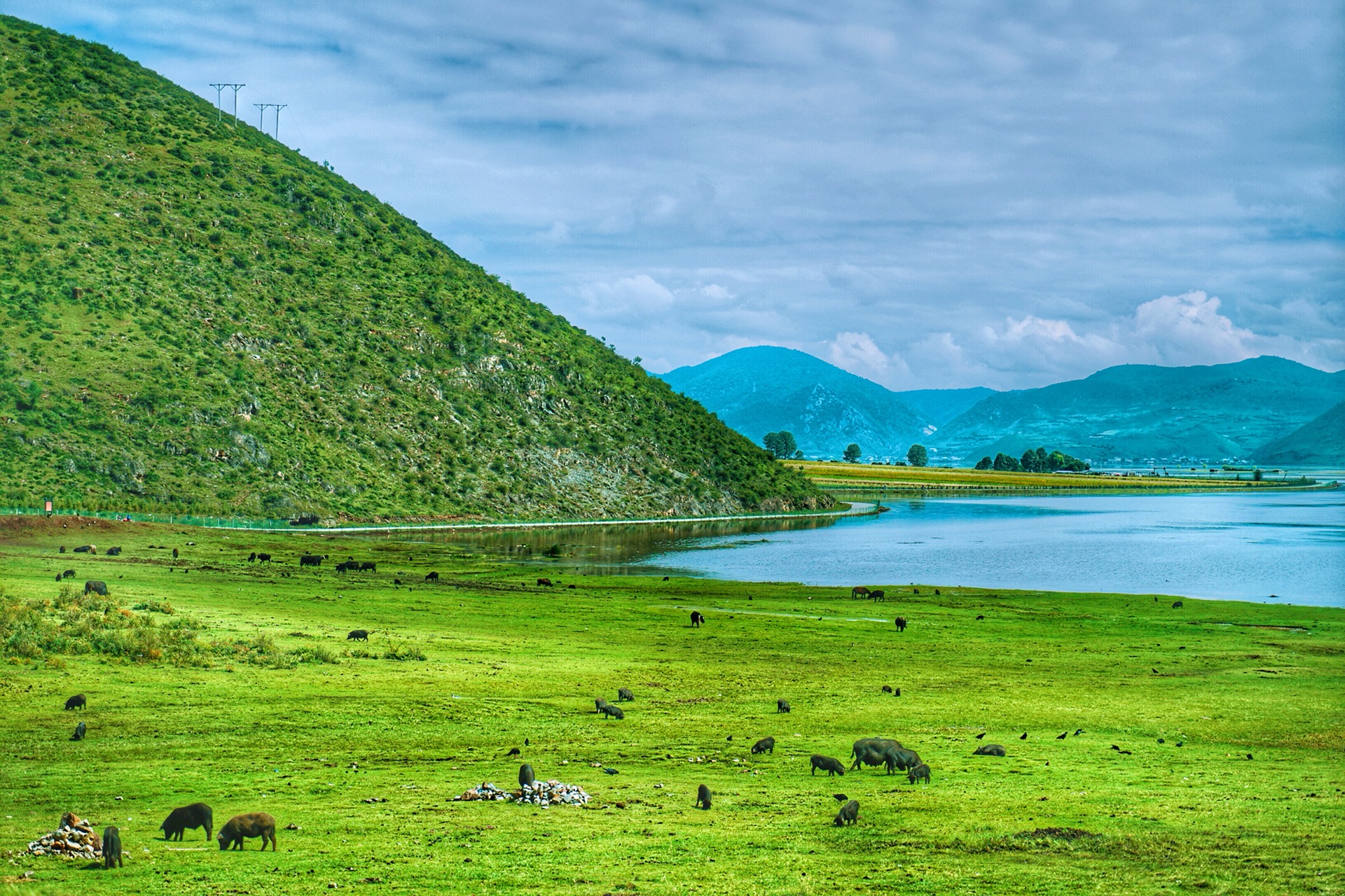 PC版微信小程序横屏适配默认宽度操作指南（微信小程序横屏显示不完整）