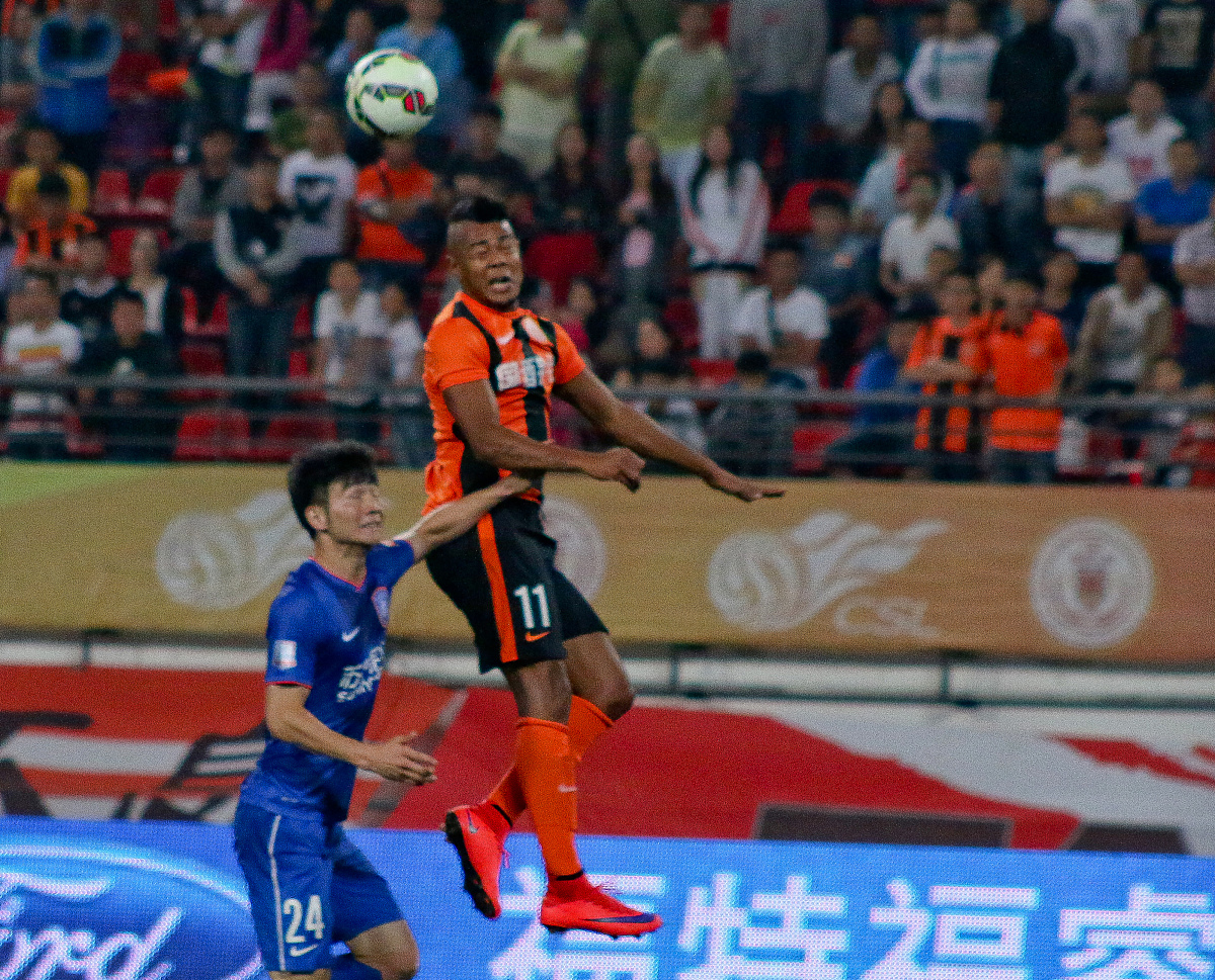 迎接2024年：探索生肖表的奥秘与影响(2024生肖表)