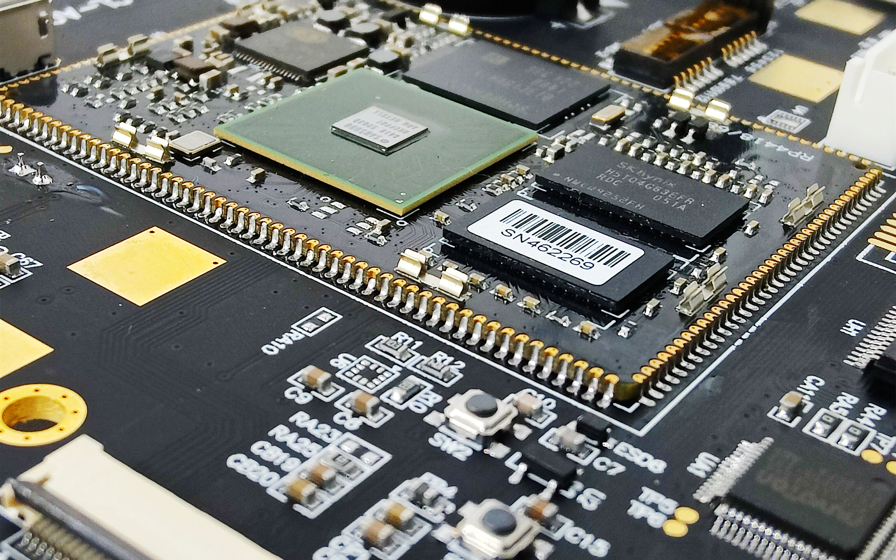 探索生肖的轮回：十二生肖顺序与对应年份解析(生肖表十二顺序和年份)